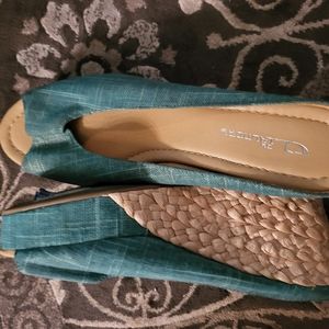 Teal wedge